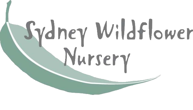 Sydney Wildflower Nursery